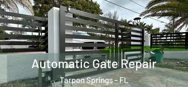 Automatic Gate Repair Tarpon Springs - FL