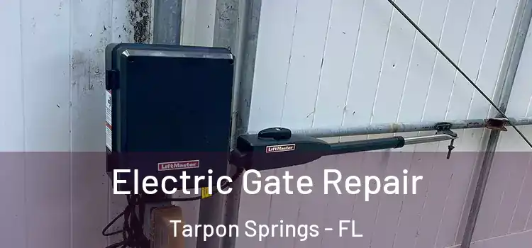 Electric Gate Repair Tarpon Springs - FL