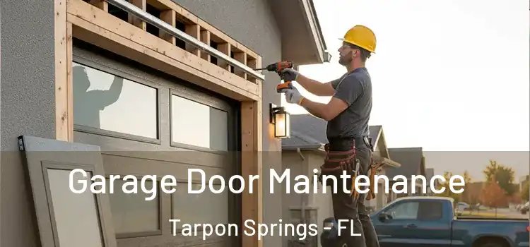 Garage Door Maintenance Tarpon Springs - FL