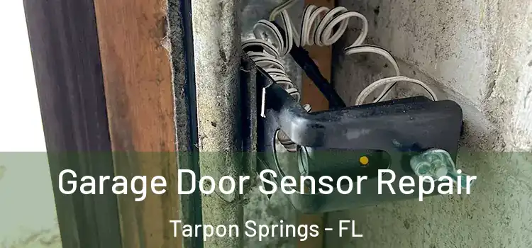 Garage Door Sensor Repair Tarpon Springs - FL