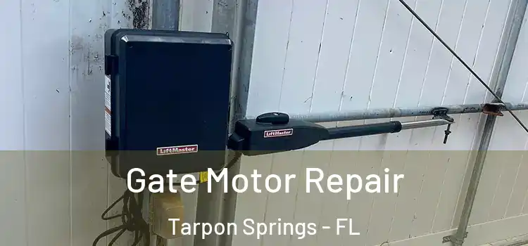 Gate Motor Repair Tarpon Springs - FL