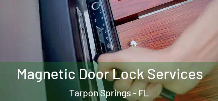 Magnetic Door Lock Services Tarpon Springs - FL