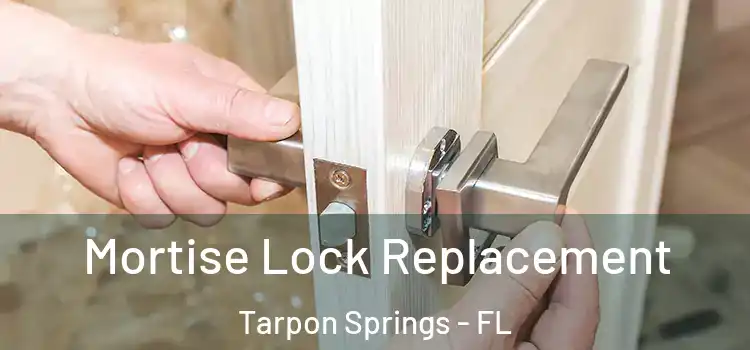Mortise Lock Replacement Tarpon Springs - FL