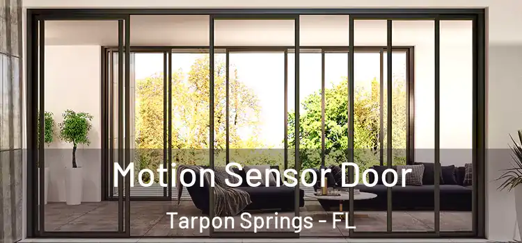 Motion Sensor Door Tarpon Springs - FL
