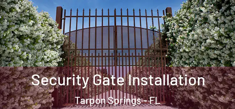 Security Gate Installation Tarpon Springs - FL