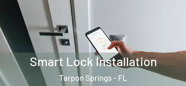 Smart Lock Installation Tarpon Springs - FL